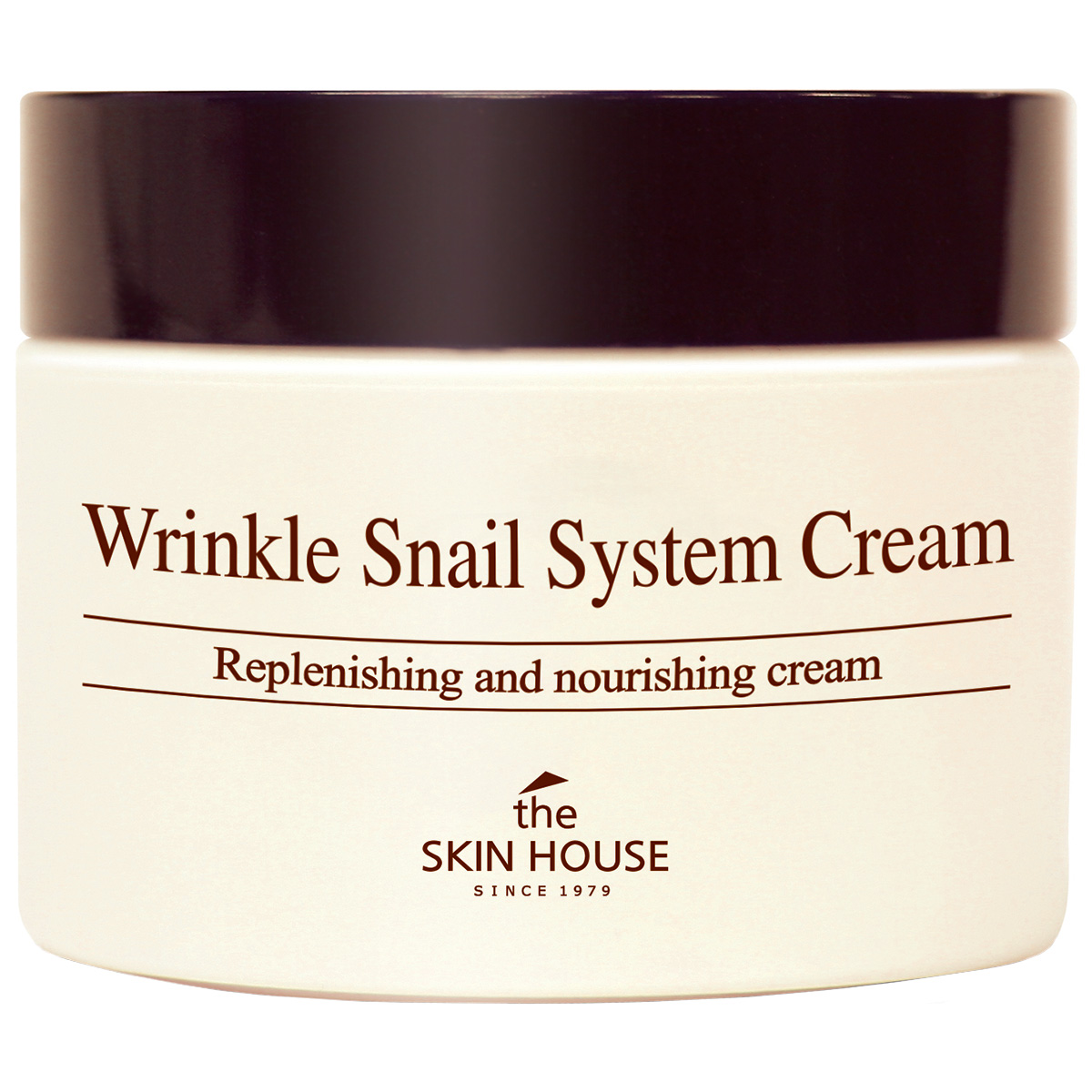 Wrinkle Snail System Cream, 50 ml The Skin House K-Beauty