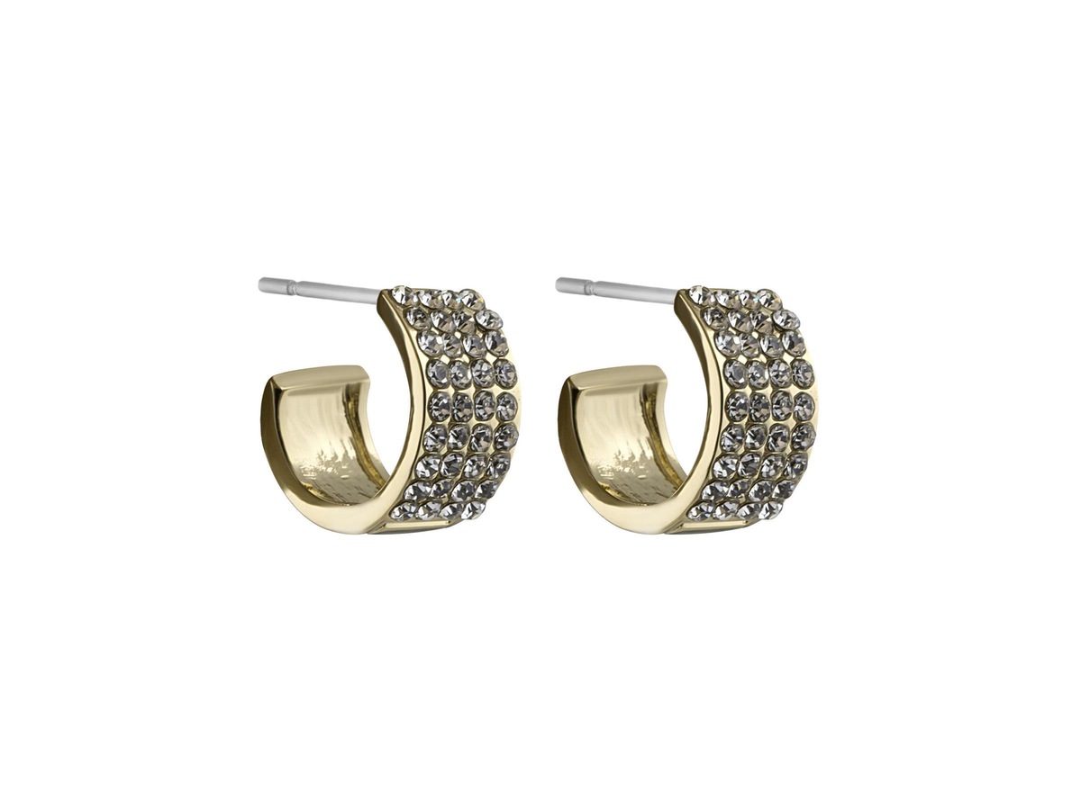Carrie Small Ring Ear Gold/Clear, Snö of Sweden Øredobber