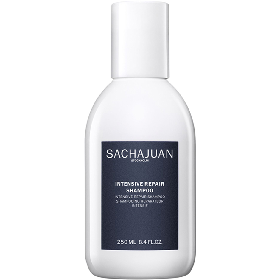 Intensive Repair, 250 ml Sachajuan Shampoo Hårpleie - Hårpleieprodukter - Shampoo