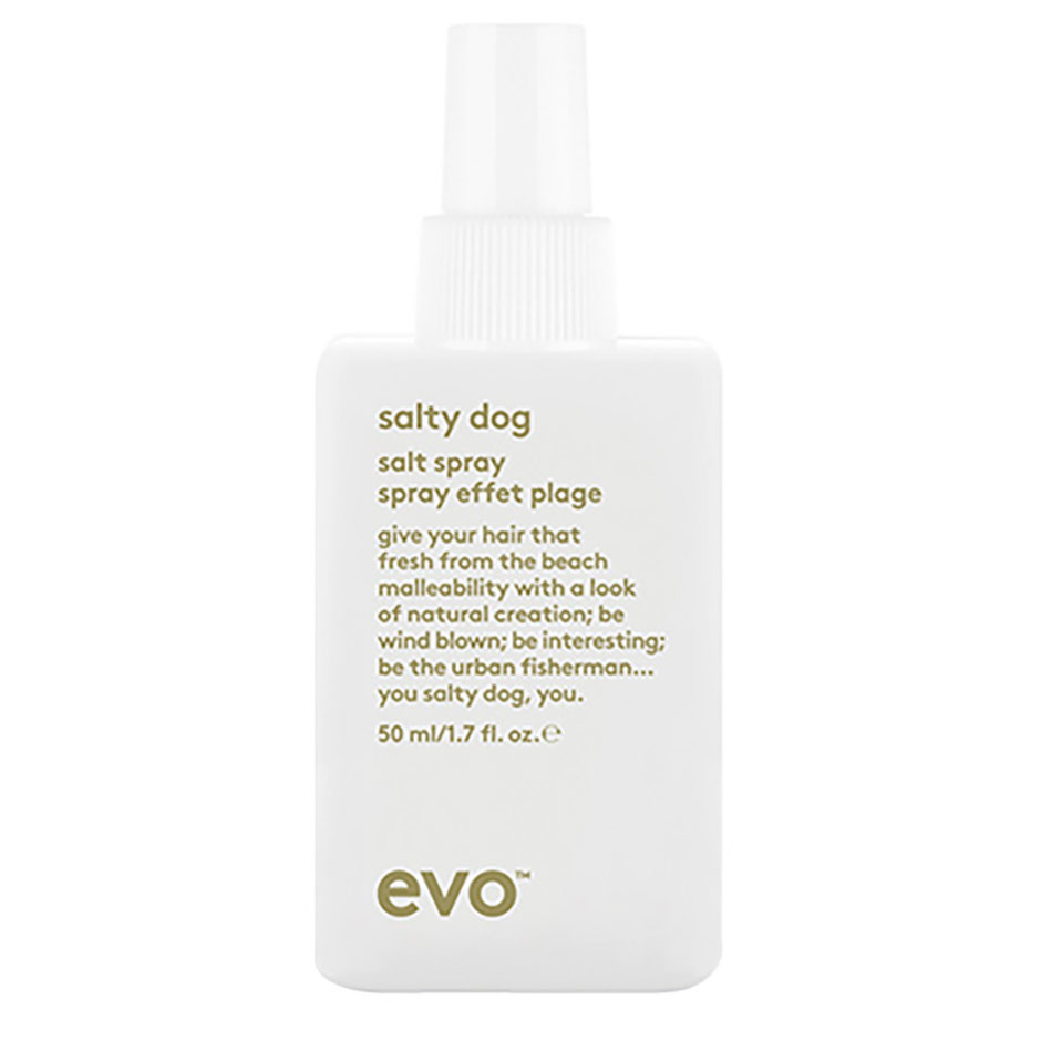 Salty Dog Salt Spray, 50 ml evo Hårstyling Hårpleie - Hårpleieprodukter - Hårstyling